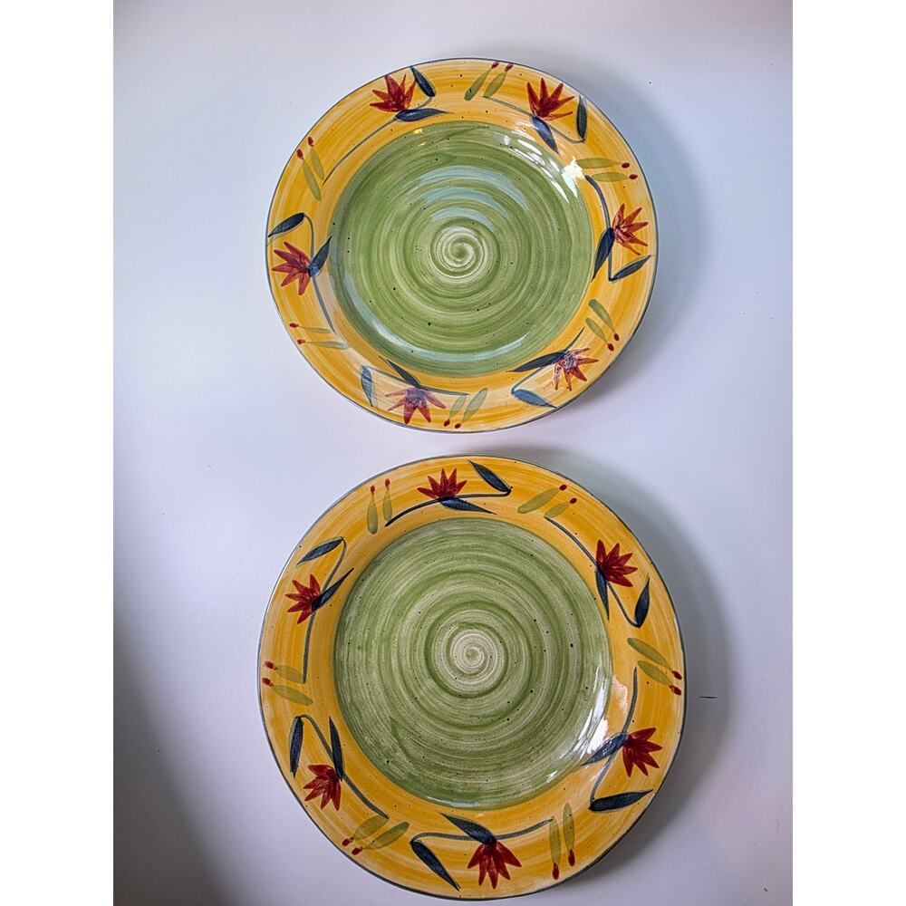 Pier 1 Elizabeth 11.5" Dinner Plates Hand Painted Stoneware Floral  Set of 2